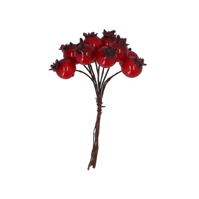 Pick Cluster - Shiny Red Rosehip Berries