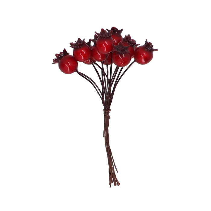 Pick Cluster - Shiny Red Berries