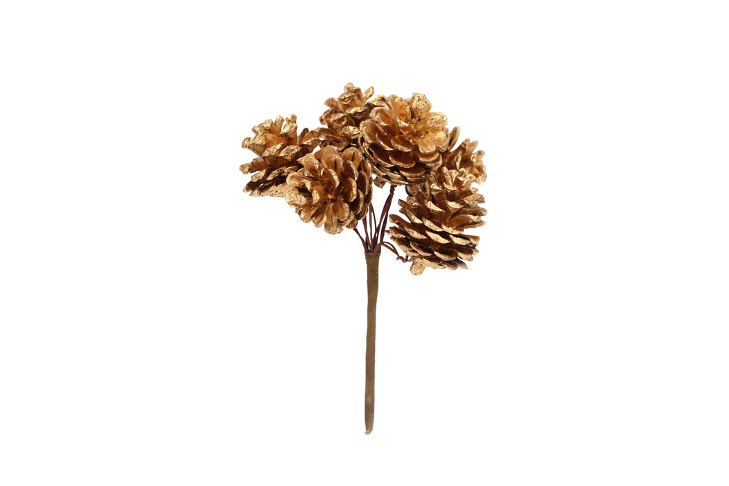 Natural/Gold Cone Pick Bunch