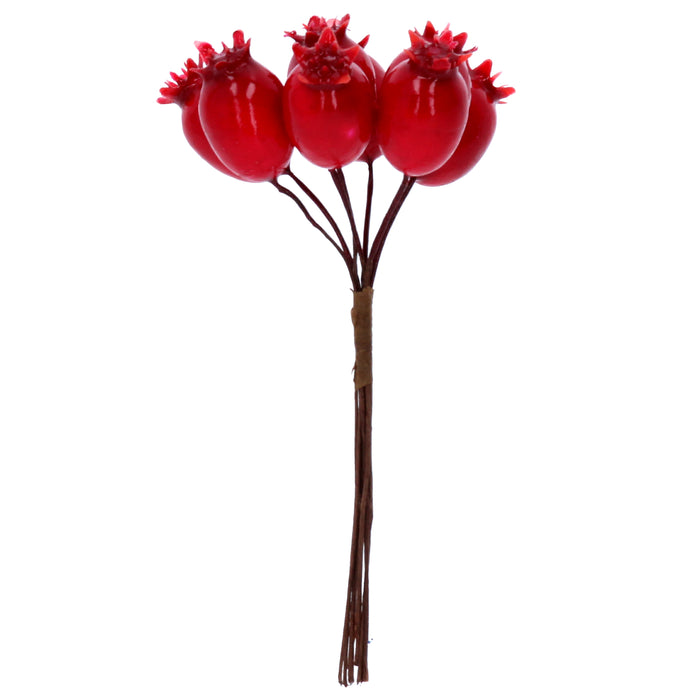 Shiny Red Rosehip Pick Bunch