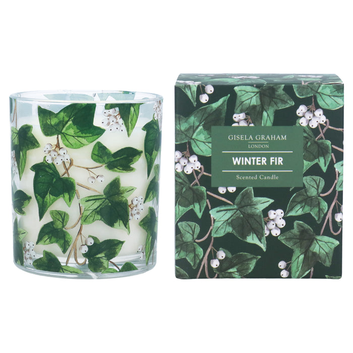 Ivy Scented Boxed Candle, Lge