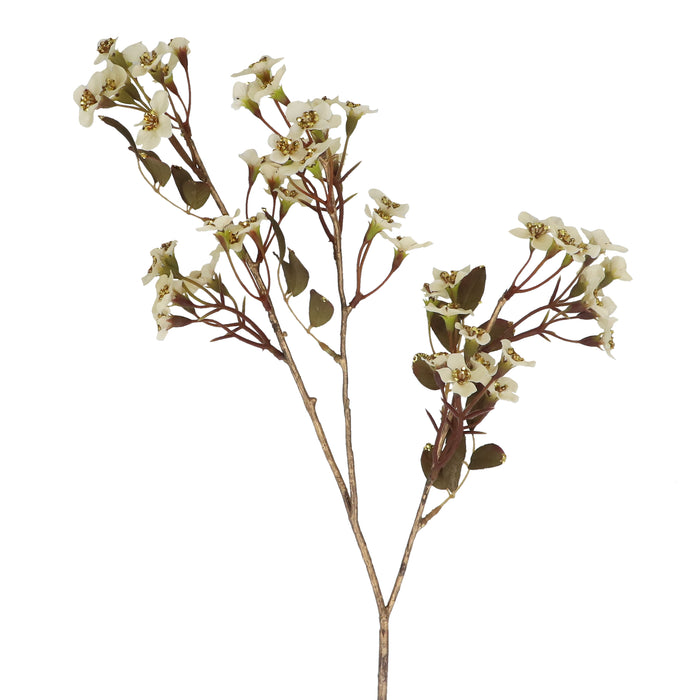 Cream Gold Jasmine Spray