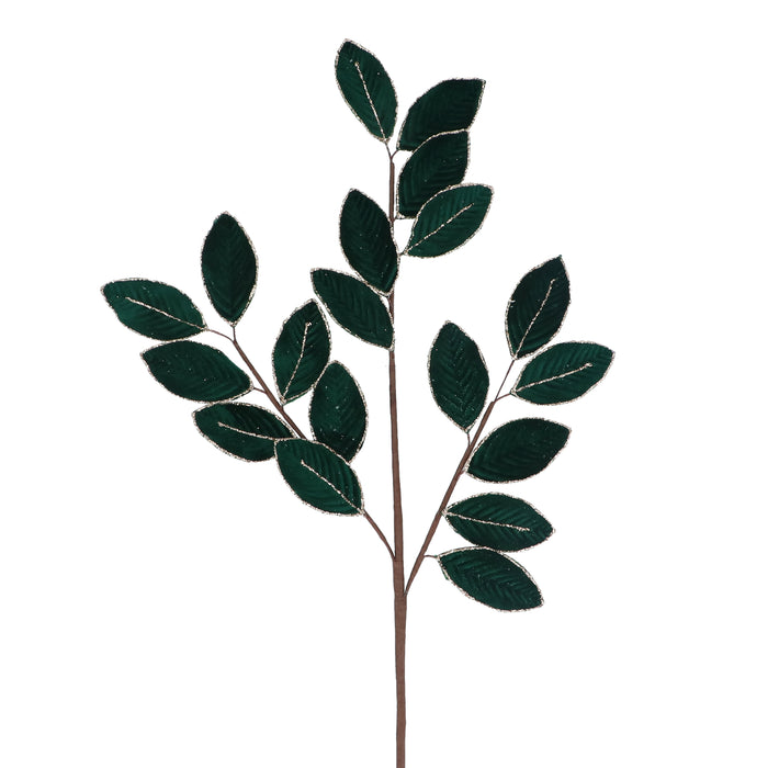 Green Velvet Leaf Spray