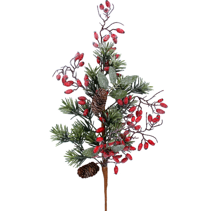 Fir Branch w Red Rosehips