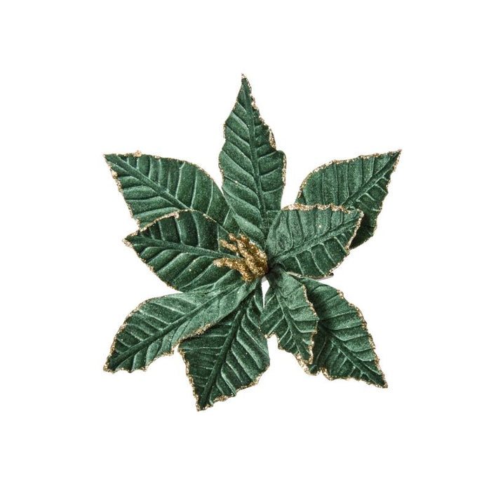 Sumptuous Sages Clip - Style 2