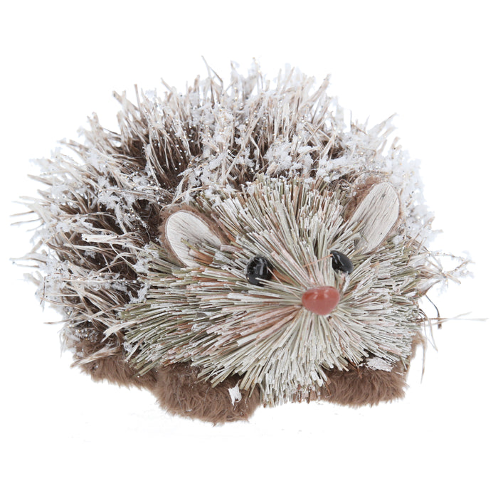 Snowy Bristle Hedgehog Orn, Sml