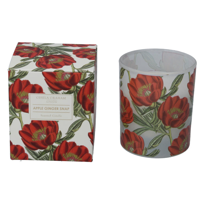 Red Christmas Rose Boxed Candle Pot, Lge,