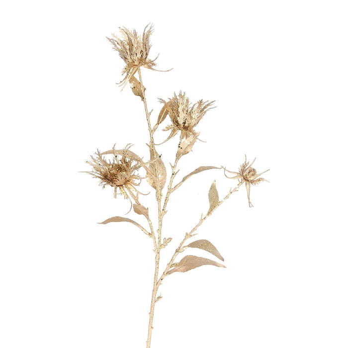 Gold Thistle Spray