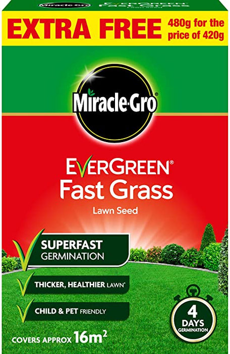 Fast Grass Lawn Seed