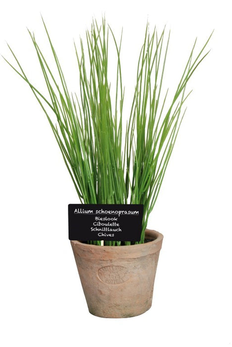 AH006 - ARTIFICIAL CHIVES IN AGED TERRACO